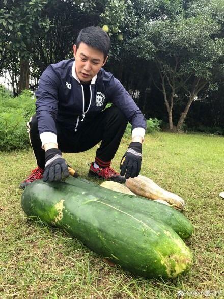 最新爆料吃瓜,神秘事件真相大揭秘！  第3张