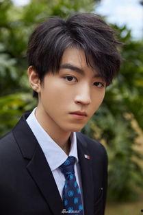 王俊凯狗仔爆料视频合集,揭秘明星私生活瞬间